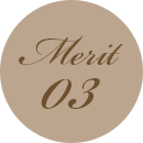 merit03