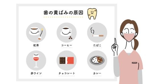 むし歯になりにくい歯を育てよう